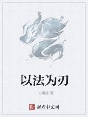 以法为刃