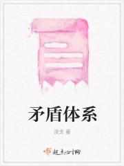 矛盾体系