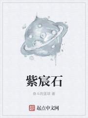 紫宸石