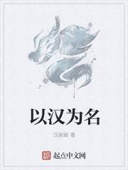 以汉为名
