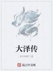 大泽传