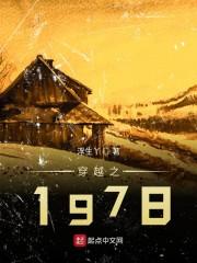 穿越之1978