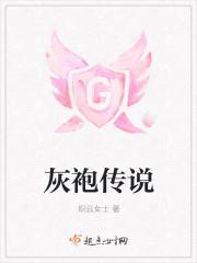 灰袍传说