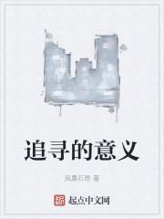 追寻的意义