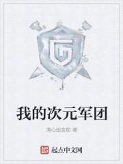 我的次元军团