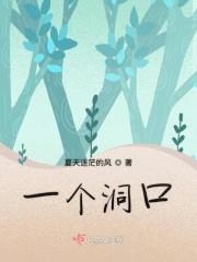 一个洞口