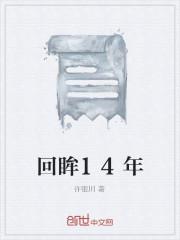 回眸14年