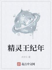 精灵王纪年