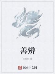 善辨