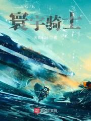 寰宇骑士
