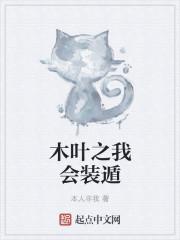 木叶之我会装遁