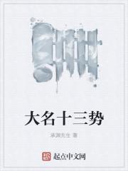 大名十三势