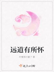 远道有所怀