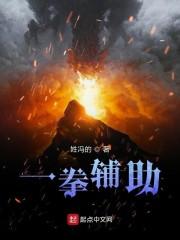 一拳辅助