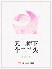 天上掉下个二丫头