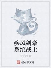 疾风剑豪系统战士