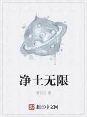 净土无限