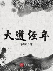 大道经年