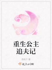 重生公主追夫记