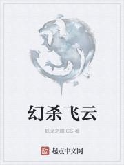 幻杀飞云