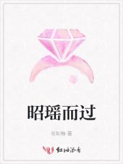 昭瑶而过