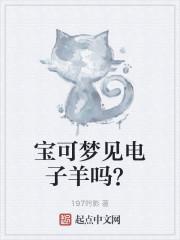 宝可梦见电子羊吗?