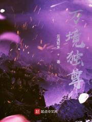 万境独尊
