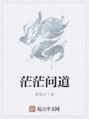 茫茫问道