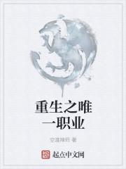 重生之唯一职业