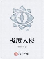 极度入侵