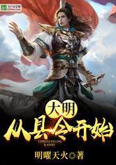大明:从县令开始