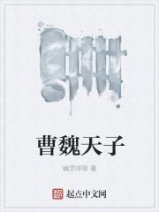 曹魏天子