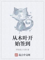 从木叶开始签到