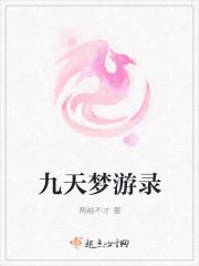 九天梦游录