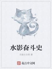 水影奋斗史