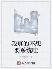 我真的不想要系统哇