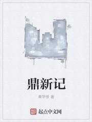 鼎新记