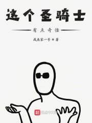 这个圣骑士有点奇怪
