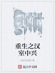 重生之汉室中兴