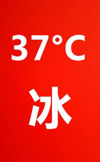 37度冰