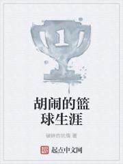 胡闹的篮球生涯