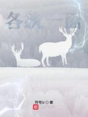 各执一面