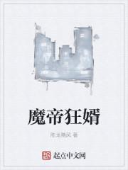 魔帝狂婿