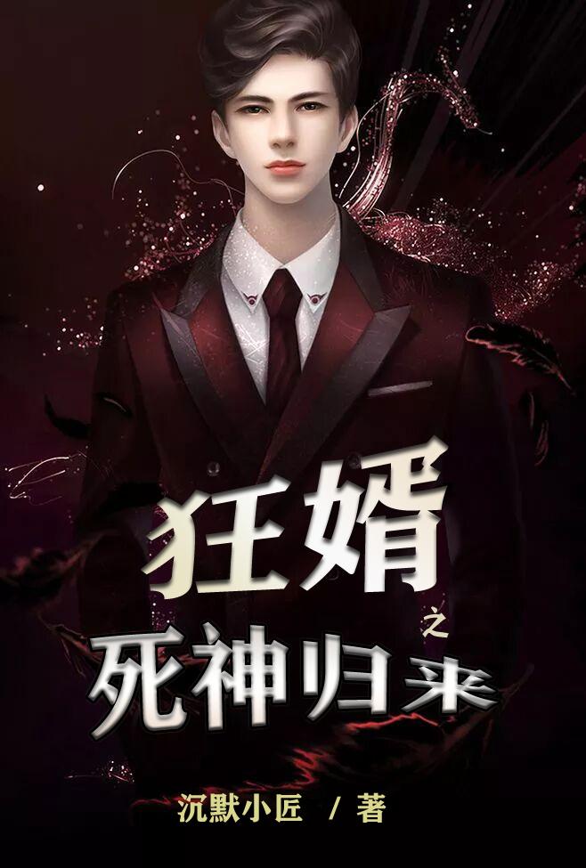 狂婿之死神归来