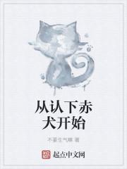 从认下赤犬开始