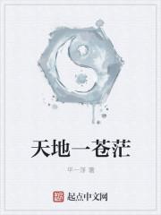 天地一苍茫
