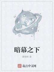 暗幕之下