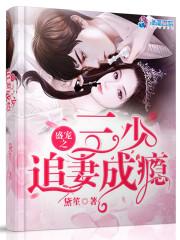 盛宠之三少追妻成瘾
