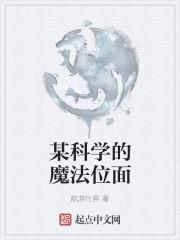 某科学的魔法位面