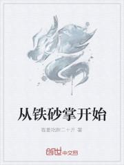 从铁砂掌开始